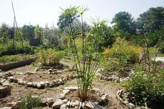 Гостевой дом Guest house on Shaumyana Новый Афон-6
